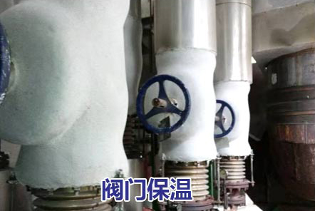 �y�T����