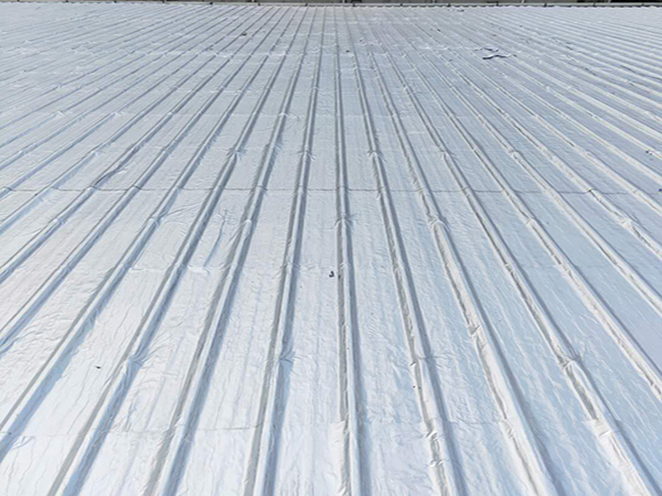 ���S�Ƿ�����