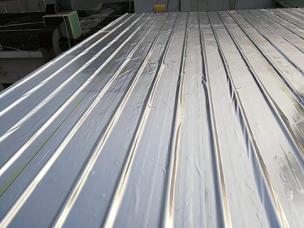 ���S�FƤ������