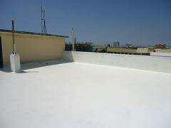 ������FƤ����ˮ