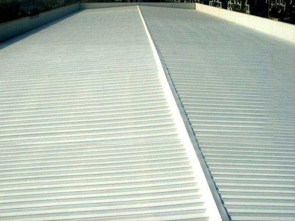 �FƤ������