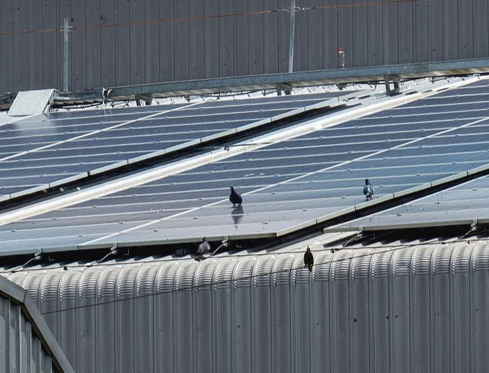 �FƤ�S����ˮ�a(b��)©