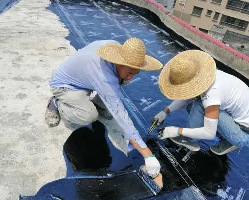 �FƤ�S����ˮ�a(b��)©