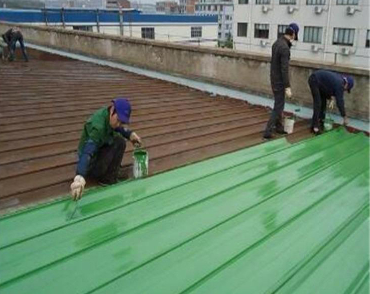 �S������޿�