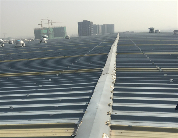 ������޿�����