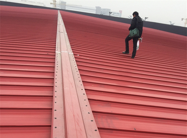 ������޿�����