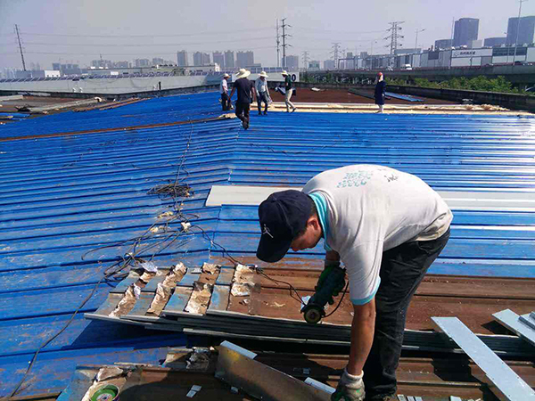 �f�ߓQ�¹���